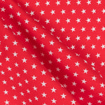 Patchwork Stars Red Background - Ribes y Casals