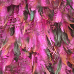 Plumas Fuchsia - Ribes y Casals