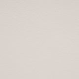 White Leatherette - Ribes y Casals