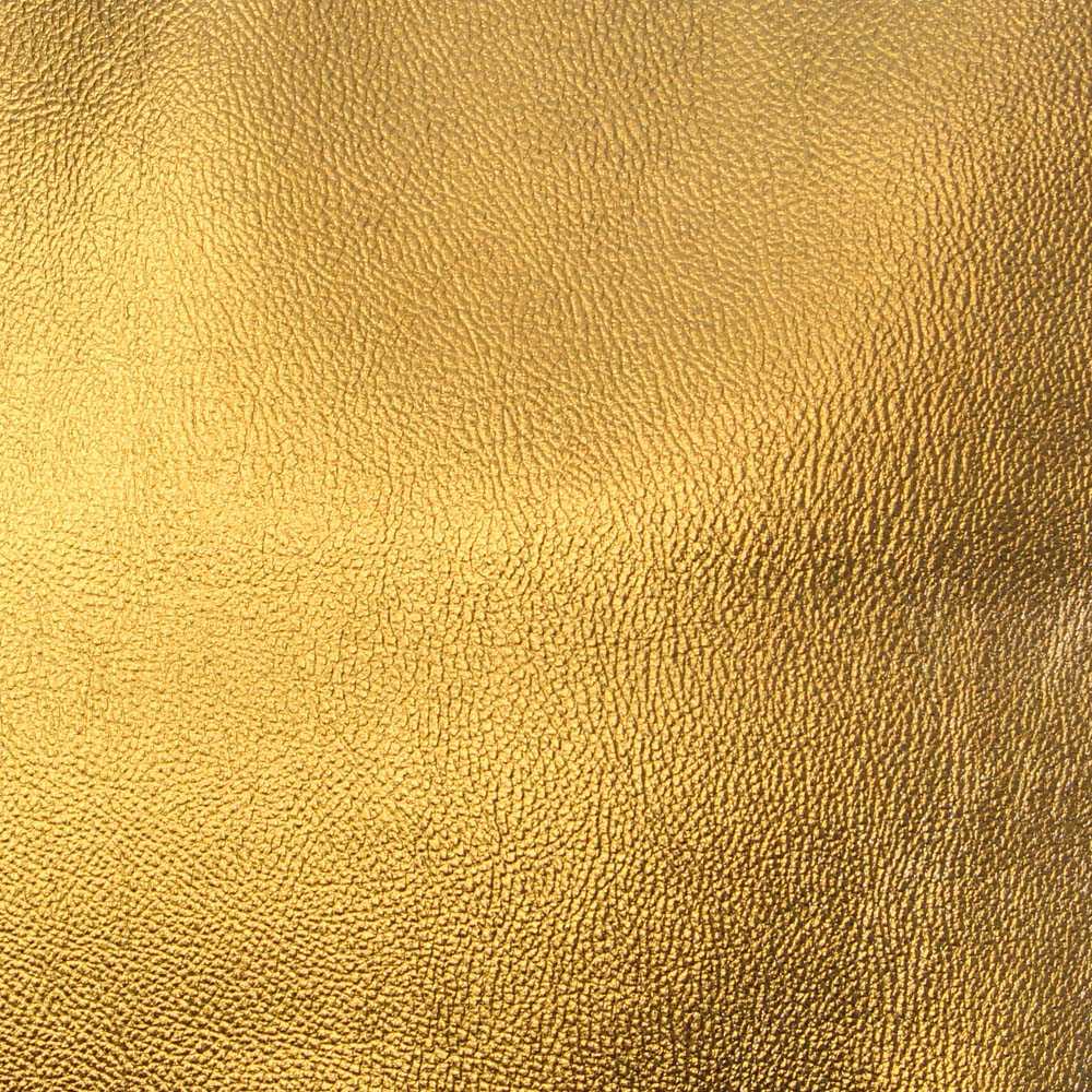 Golden Classic Leather Look - Ribes y Casals