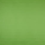 Green Nautical Leatherette - Ribes y Casals