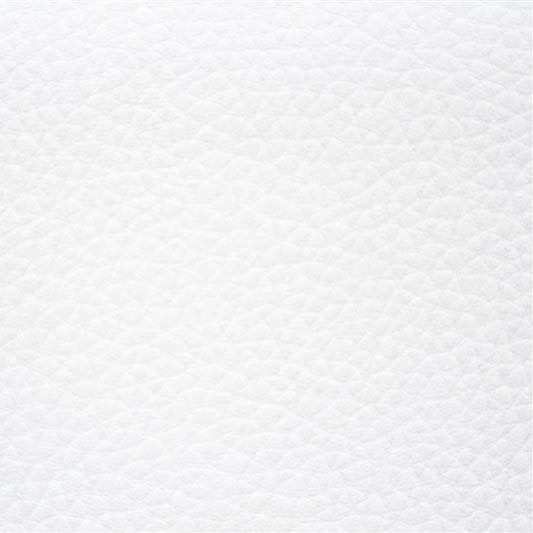 Faux Leather Tapestry White - Ribes y Casals