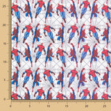 Popelín Algodón Hombre Araña Blanco - Ribes y Casals