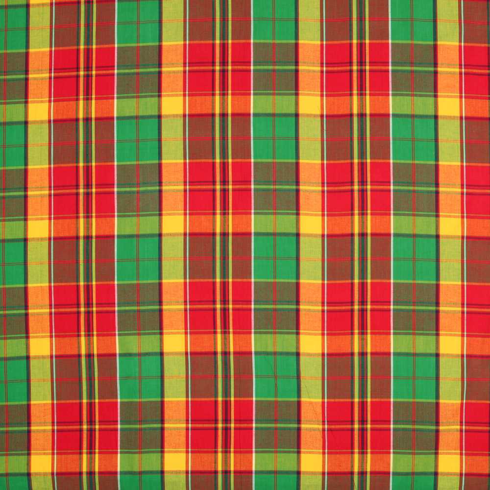 Madras Poplin Cotton Multicolor Green - Ribes y Casals
