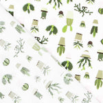 Popelin Stamping Cactus - Ribes y Casals