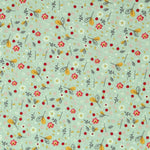 Mint Green Organic Poplin - Ribes y Casals