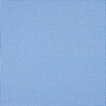 Mini Blue Check Cotton Poplin - Ribes y Casals