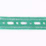 Lace Ribbon 4665 Mint Green 05 - Ribes y Casals