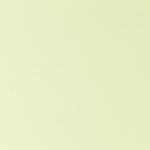 Pistachio Polyester Lycra Knit - Ribes y Casals