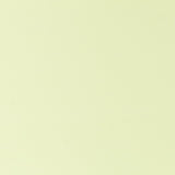 Pistachio Polyester Lycra Knit - Ribes y Casals