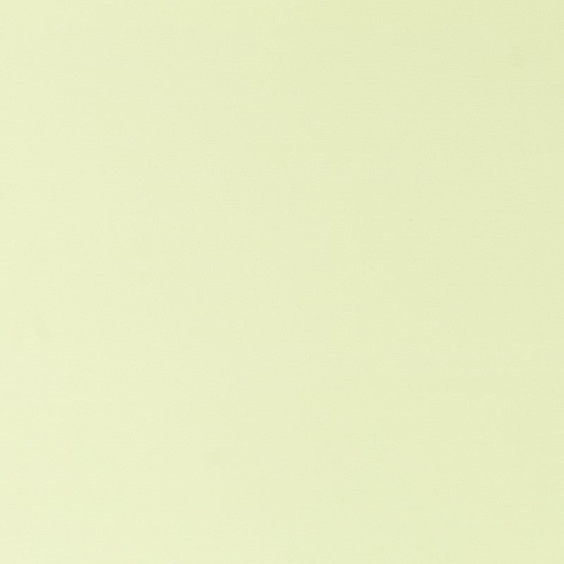 Pistachio Polyester Lycra Knit - Ribes y Casals