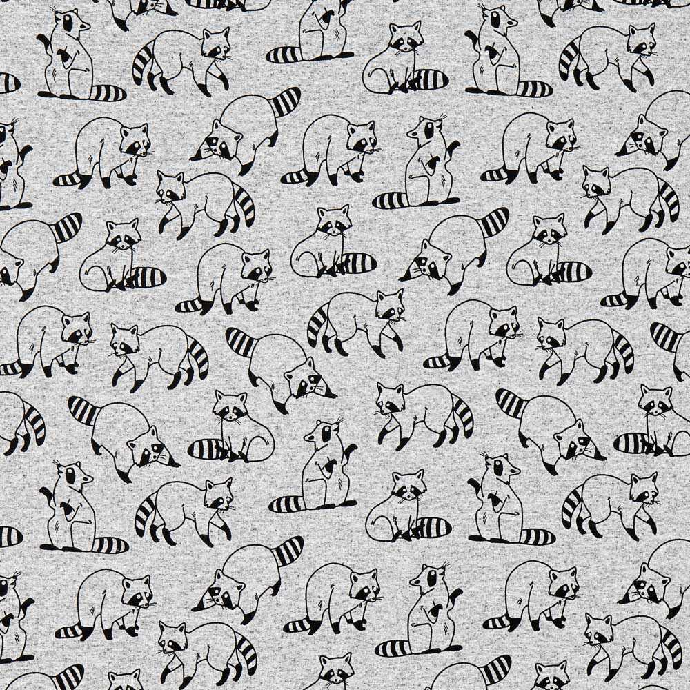 Raccoon Raccoon Sweatshirt - Ribes y Casals