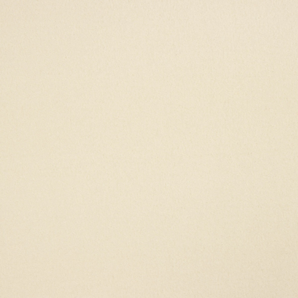 Brushed Fleece Jersey in Stone - Ribes y Casals