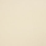 Brushed Fleece Jersey in Stone - Ribes y Casals