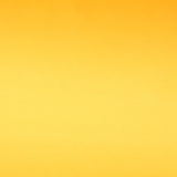 Satin Yellow Fashion - Ribes y Casals