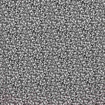 Viscosa Bosque Negro - Ribes y Casals