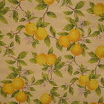 Stain Resistant Limones - Ribes y Casals
