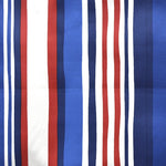 Stain Resistant Stripes Blue - Ribes y Casals
