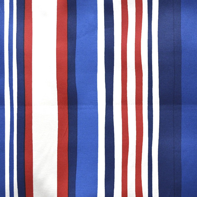 Stain Resistant Stripes Blue - Ribes y Casals