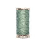 Gütermann Quilting and Patchwork Thread 200 m Pale Green 8816 - Ribes y Casals