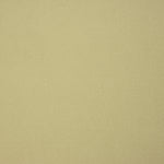 Beige Cotton Twill - Ribes y Casals
