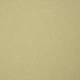 Beige Cotton Twill - Ribes y Casals