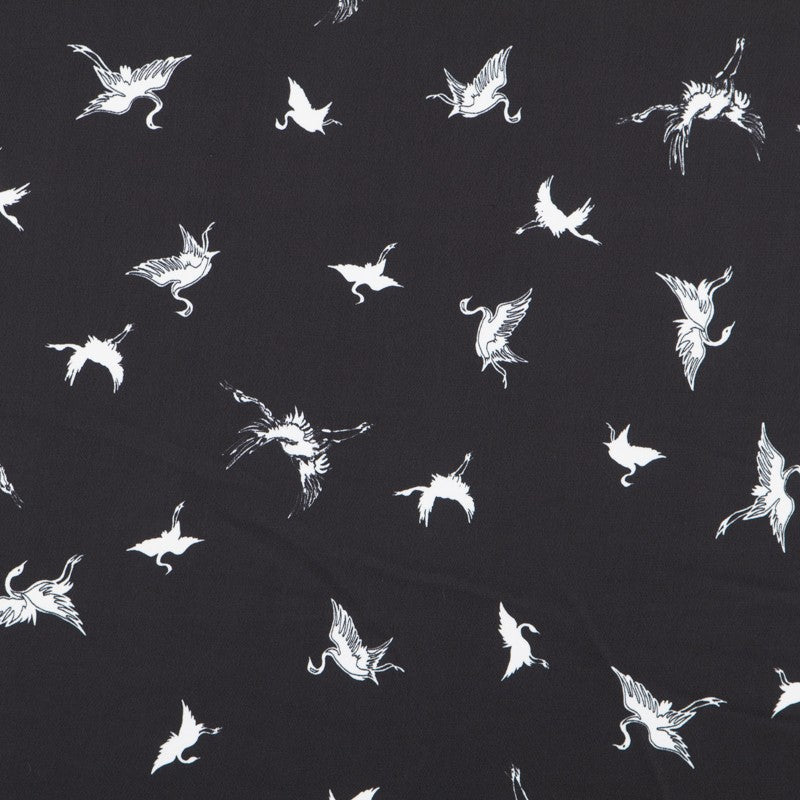 Satin Stork Black Background - Ribes y Casals