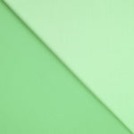 Mint Green Fashion Satin - Ribes y Casals