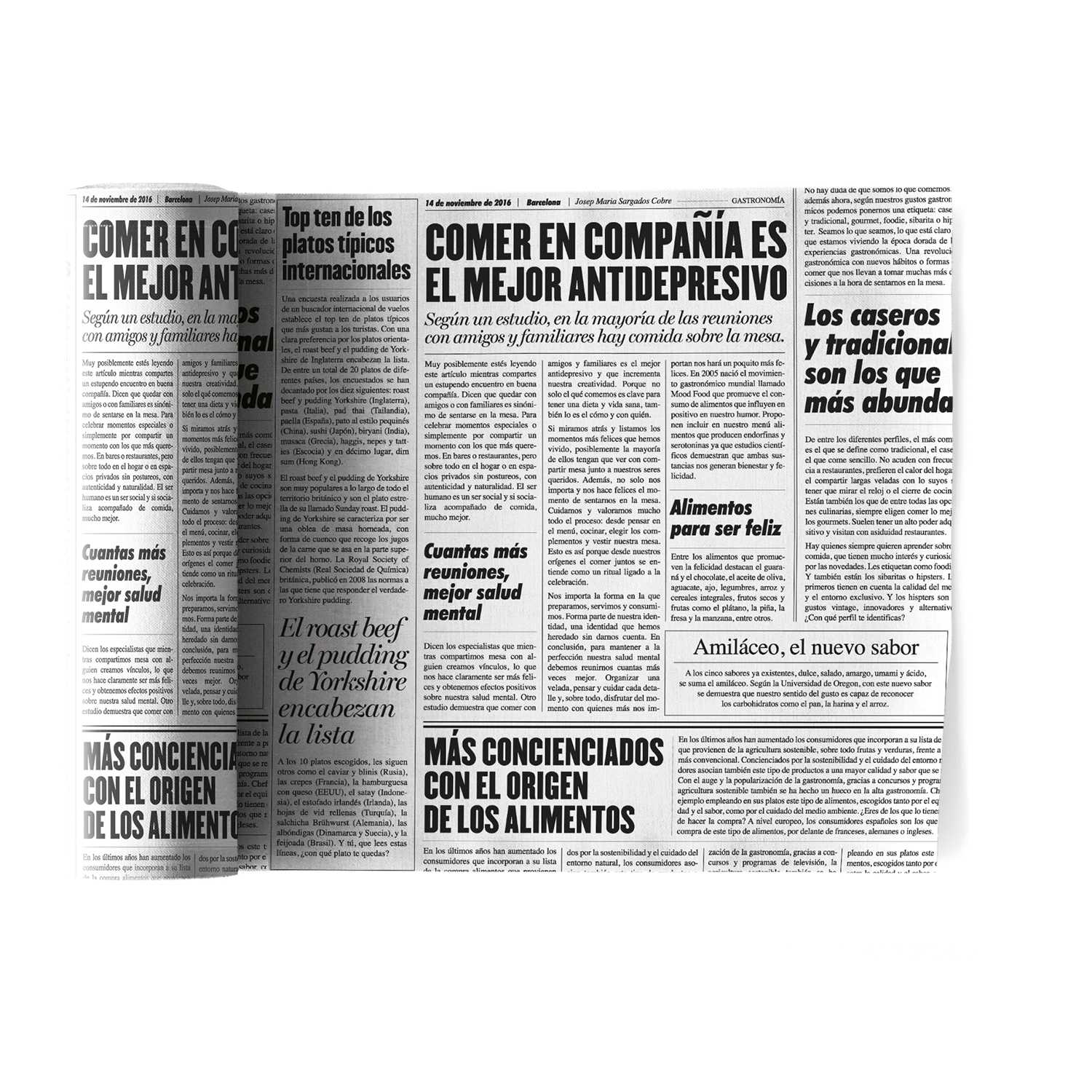 Napkins Newspaper Printed 20x20cm 12uds - Ribes y Casals