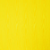 Yellow Moiré Taffeta - Ribes y Casals