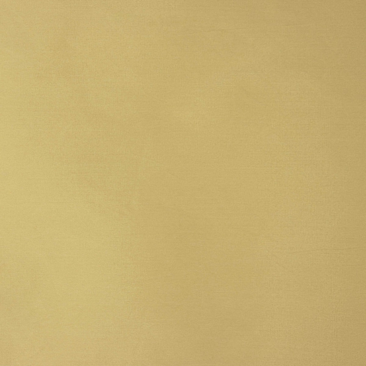 Beige Plain Taffeta Fabric - Ribes y Casals