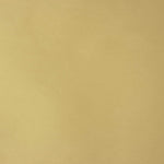 Beige Plain Taffeta Fabric - Ribes y Casals