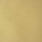 Beige Plain Taffeta Fabric - Ribes y Casals