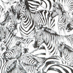 Canvas African Zebras - Ribes y Casals