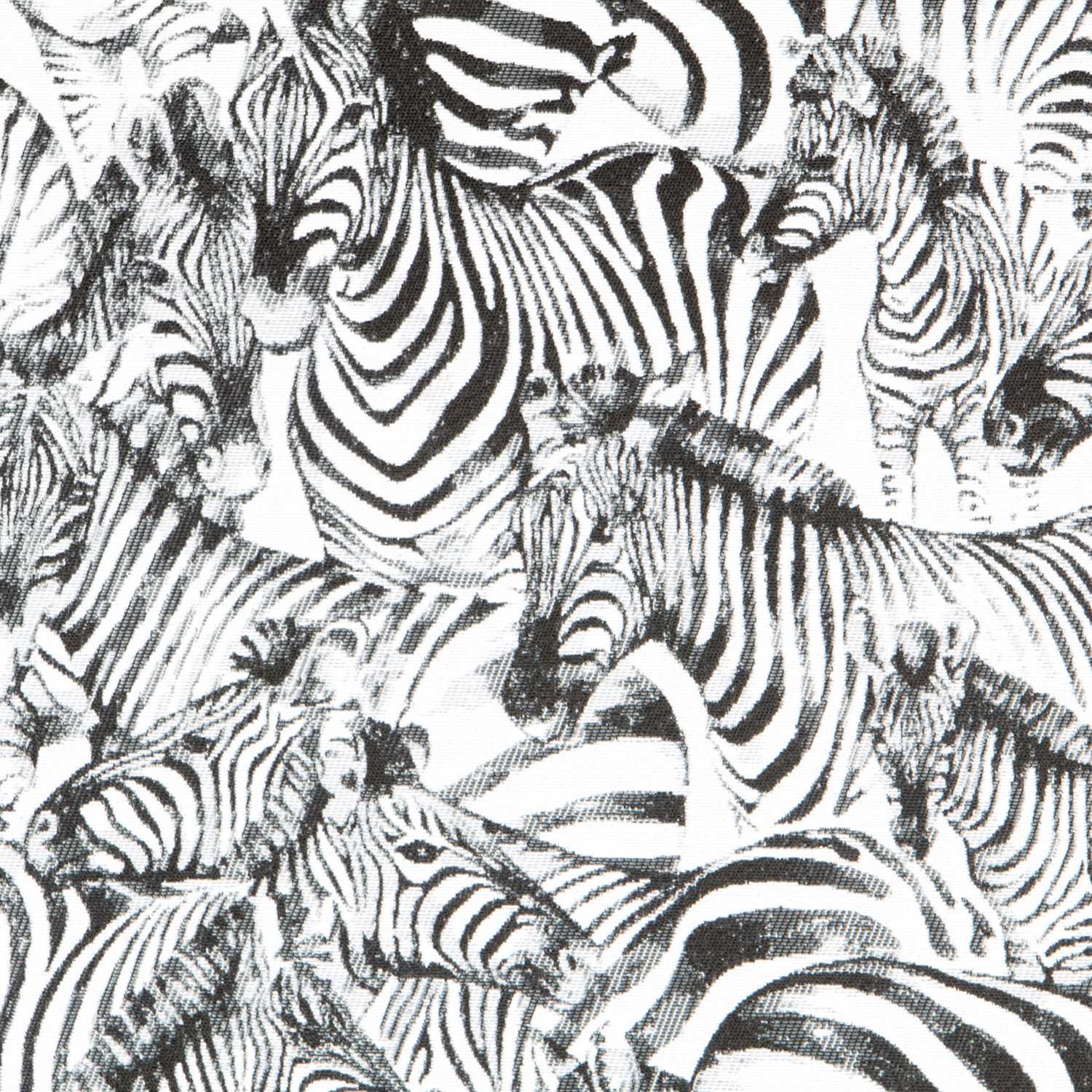 Canvas African Zebras - Ribes y Casals