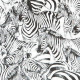 Canvas African Zebras - Ribes y Casals