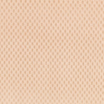 Velvet Camel - Ribes y Casals