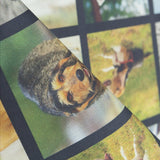 Cotton Fabric Original Dogs - Ribes y Casals