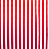 Crepe Bi-stretch Stripes Black Yellow - Ribes y Casals