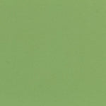 Stretch Twill Fabric Light Green - Ribes y Casals