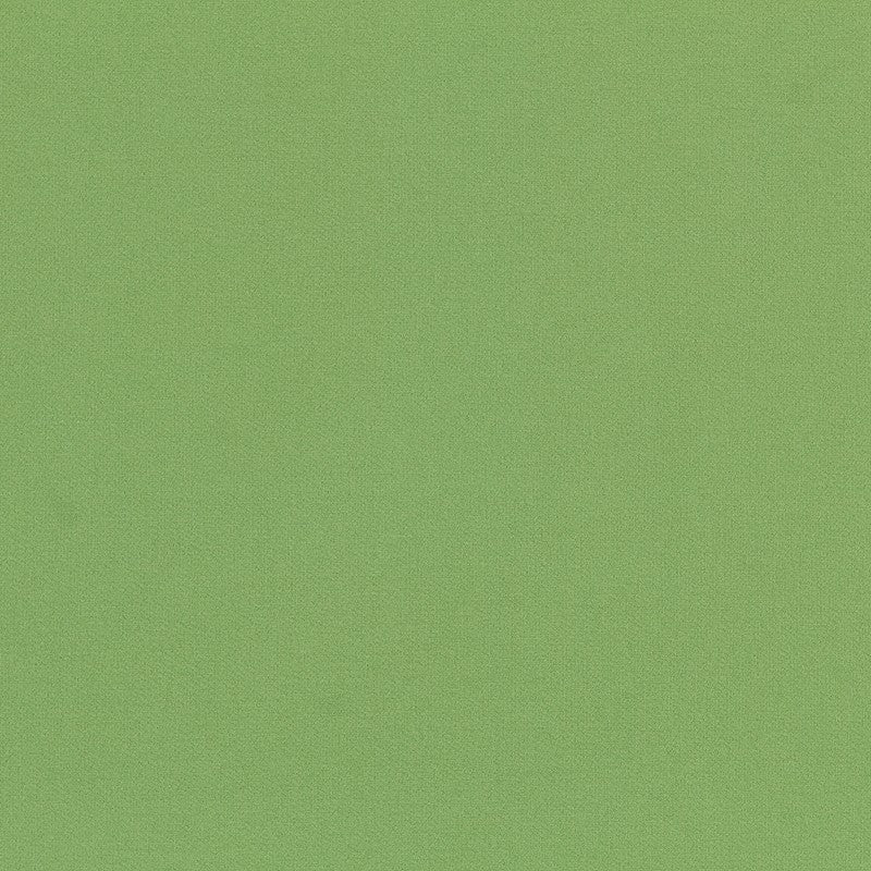 Stretch Twill Fabric Light Green - Ribes y Casals