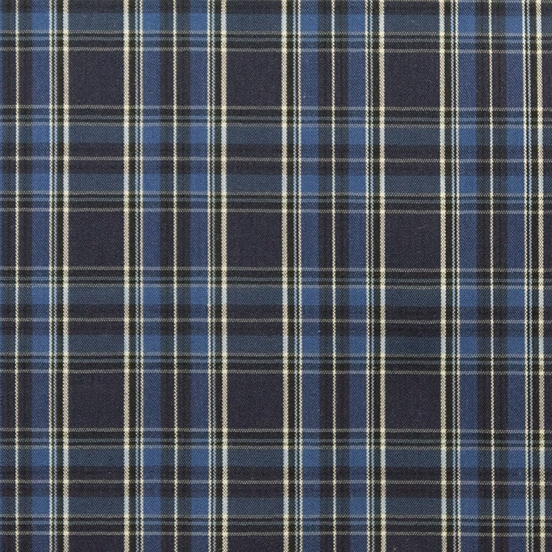 Shirt Fabric Checks Blue Bicolor - Ribes y Casals