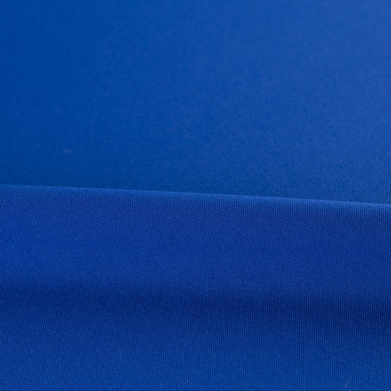 Poliéster Resinado Azulón - Ribes y Casals