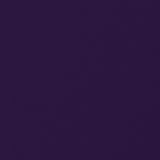 Purple Polyester Chiffon Fabric - Ribes y Casals