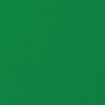 Polyester Chiffon Apple Green - Ribes y Casals
