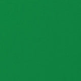 Polyester Chiffon Apple Green - Ribes y Casals