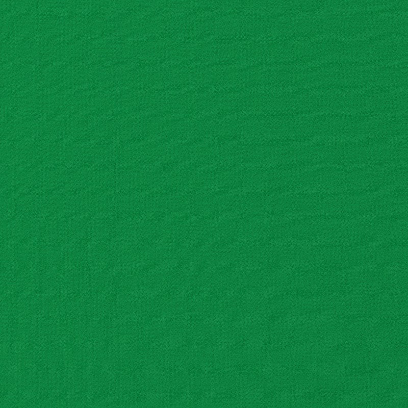 Polyester Chiffon Apple Green - Ribes y Casals