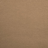 Camel Leatherette - Ribes y Casals