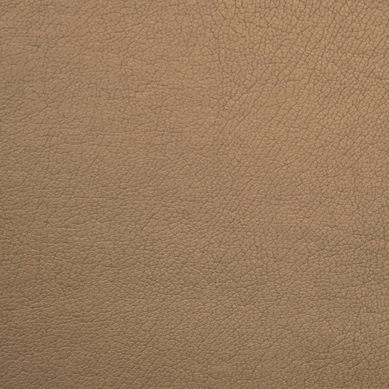 Camel Leatherette - Ribes y Casals