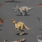 Jurassic Park Fabric - Ribes y Casals